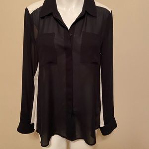 Woman’s Long Sleeve Sheer Blouse